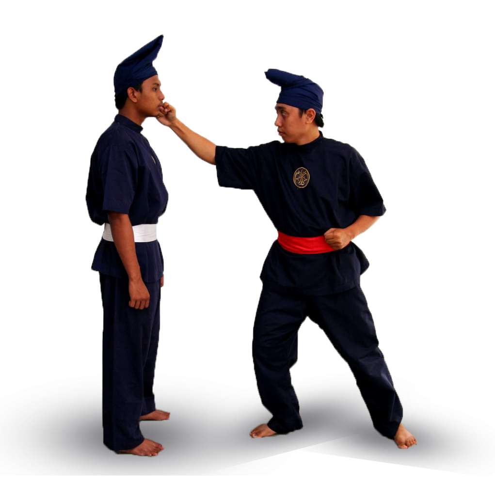Persekutuan Seni Silat Pusaka Hanafi Malaysia Persekutuan Seni Silat